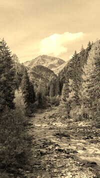 Szary + Sepia