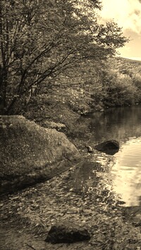 Szary + Sepia