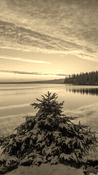 Sepia