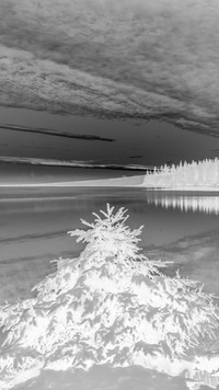 Szary + Negatyw