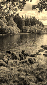 Sepia