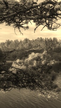 Szary + Sepia