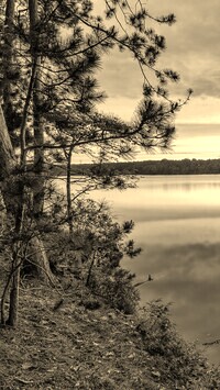 Szary + Sepia