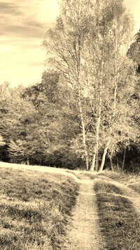 Sepia