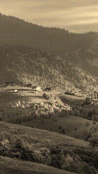 Szary + Sepia