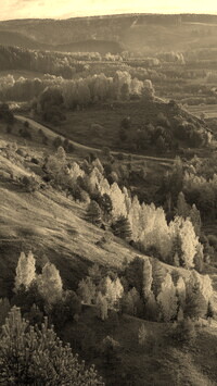Szary + Sepia