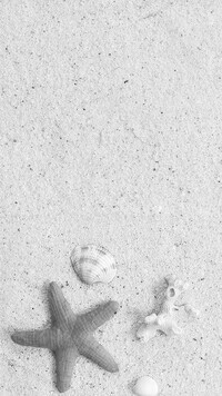 Szary