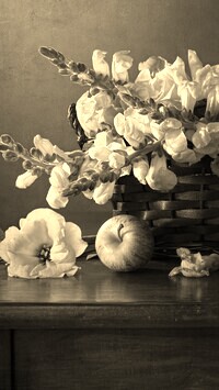 Sepia