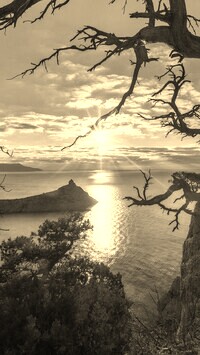Sepia