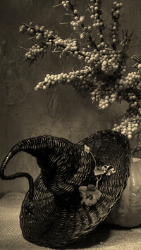 Szary + Sepia