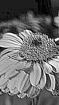 Skamielina
