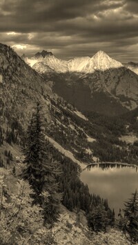Szary + Sepia