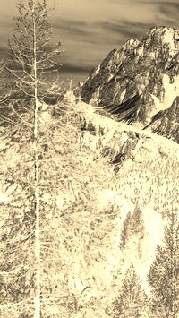 Sepia + Negatyw