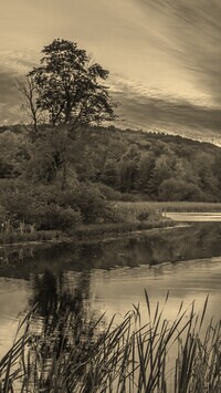 Szary + Sepia