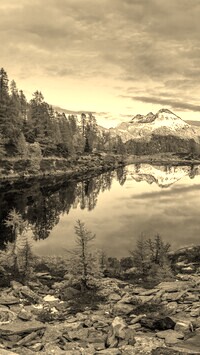 Sepia
