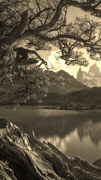 Sepia