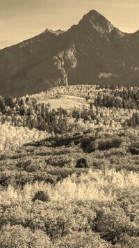 Szary + Sepia