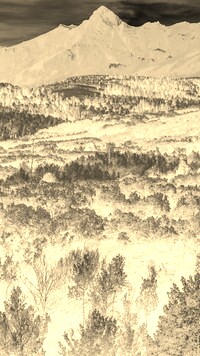 Sepia + Negatyw