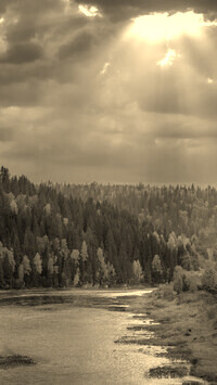 Szary + Sepia