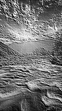 Skamielina