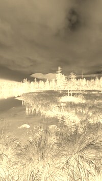 Sepia + Negatyw