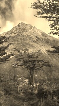 Szary + Sepia