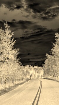 Sepia + Negatyw