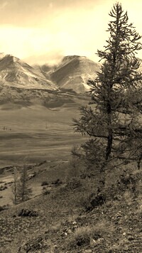 Sepia