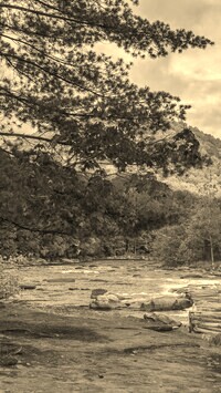 Sepia