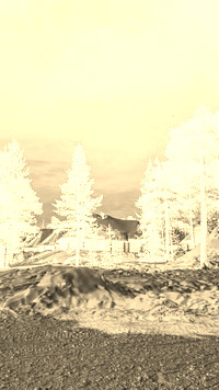 Sepia + Negatyw