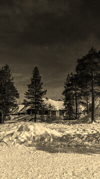 Sepia