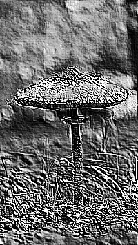 Skamielina