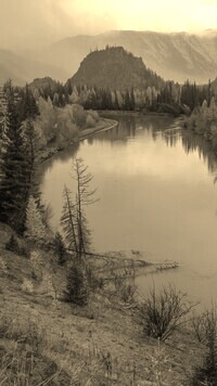 Szary + Sepia