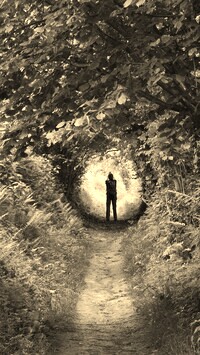 Szary + Sepia