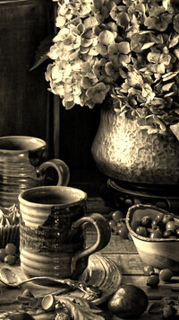 Szary + Sepia