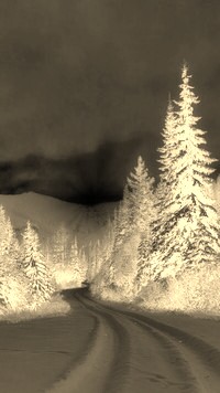 Sepia + Negatyw