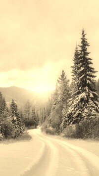Szary + Sepia