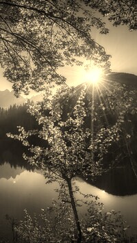 Szary + Sepia
