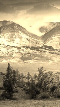 Sepia