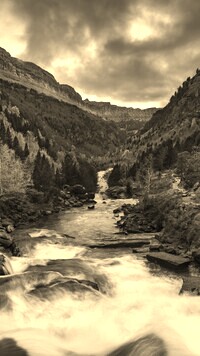 Sepia