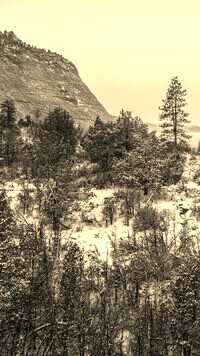 Szary + Sepia