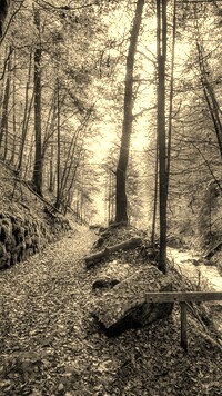 Szary + Sepia