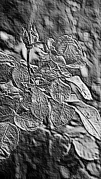 Skamielina