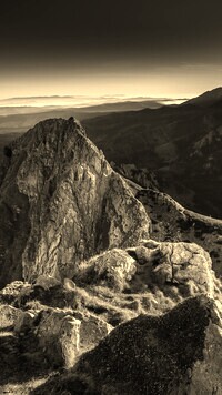 Sepia