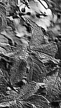 Skamielina