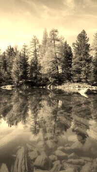 Szary + Sepia