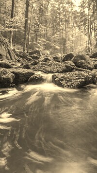 Szary + Sepia