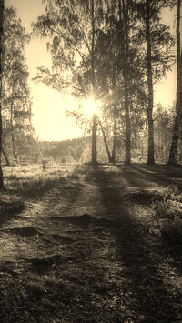 Szary + Sepia
