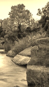 Sepia