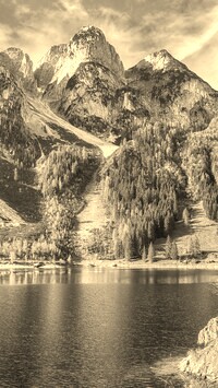 Szary + Sepia